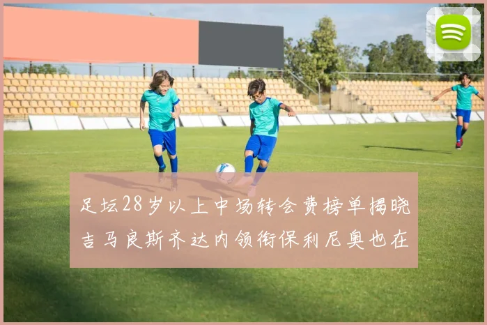 足坛28岁以上中场转会费榜单揭晓吉马良斯齐达内领衔保利尼奥也在列